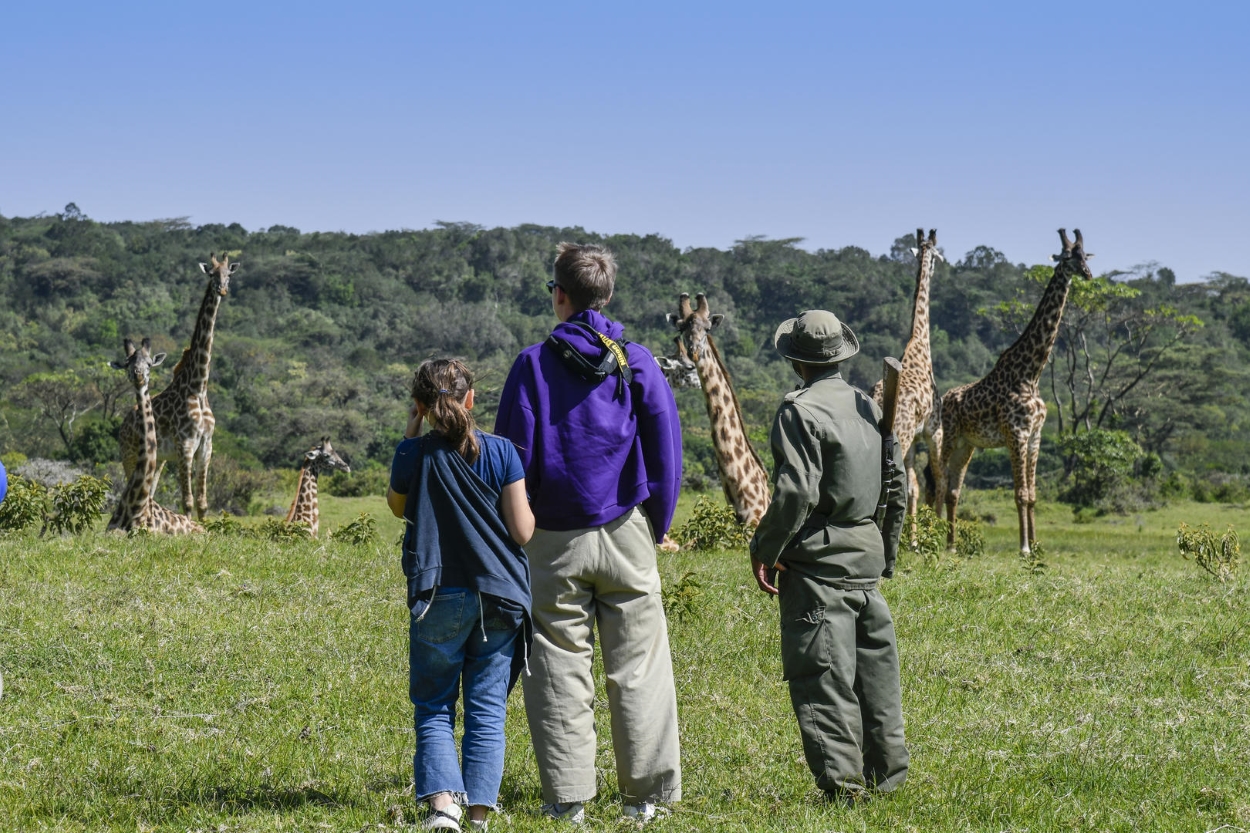 Day Trip Arusha National Park plus Walking Safari