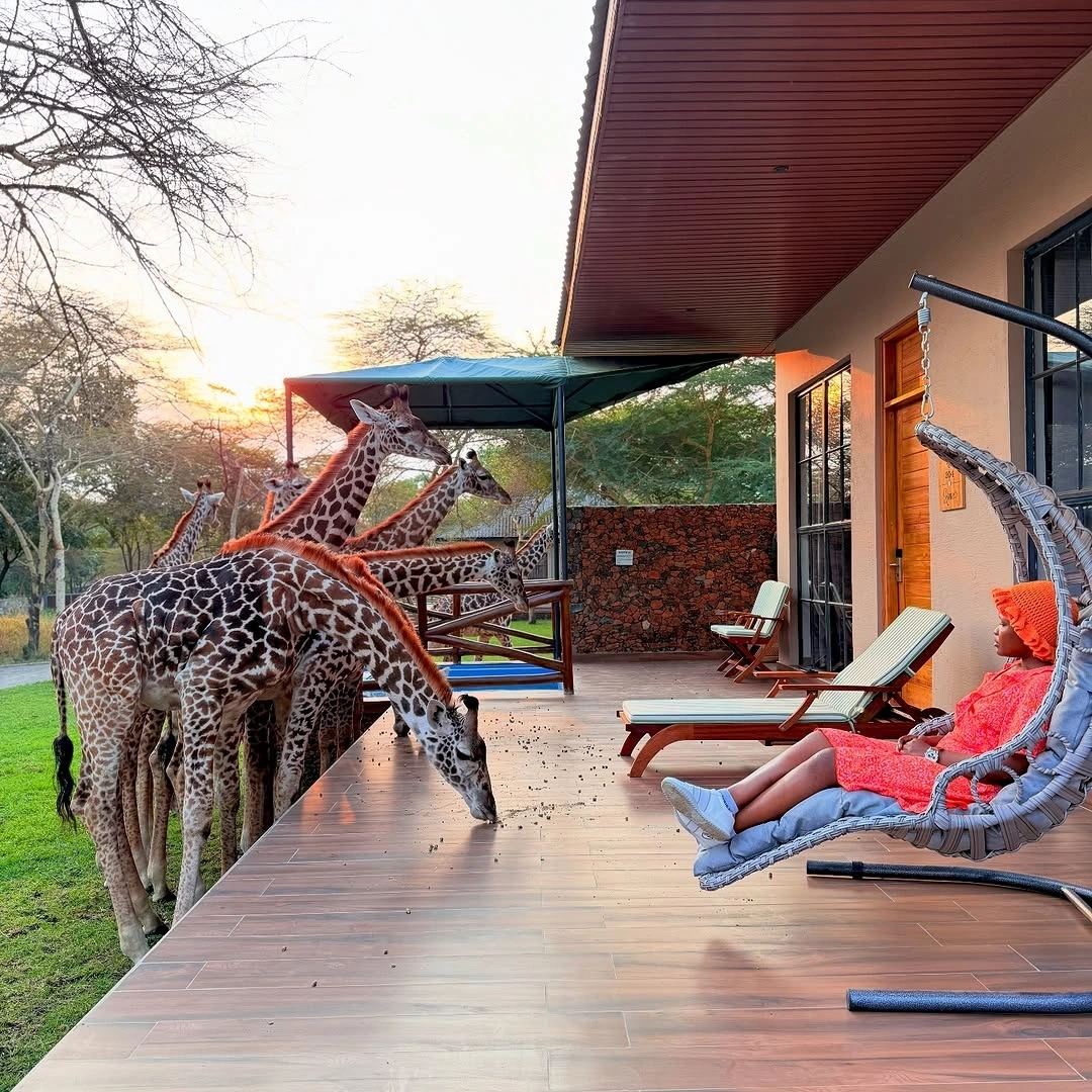 6 Days Serengeti and Ngorongoro Luxury Sharing Safari Layout
