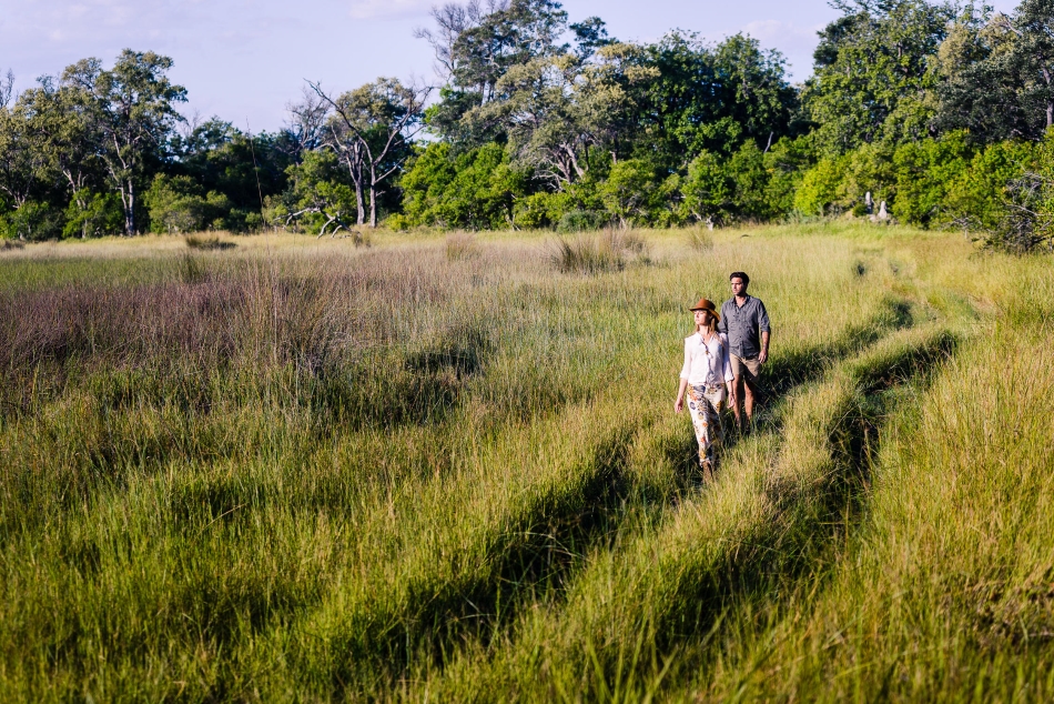 7 Days Serengeti, Ngorongoro and Tarangire Family Safari Track