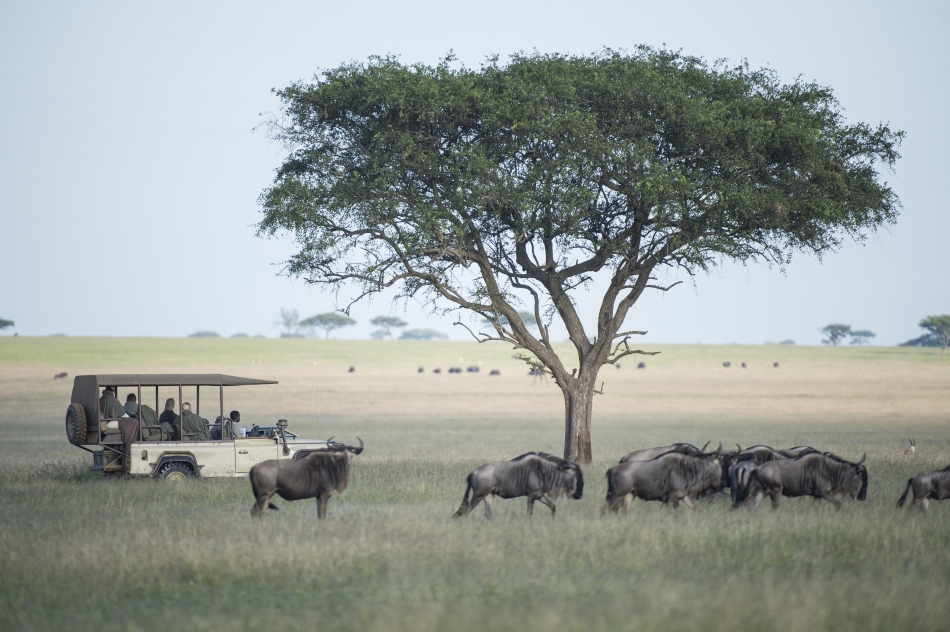 7 Days Serengeti Great Migration Senior Safari Layout