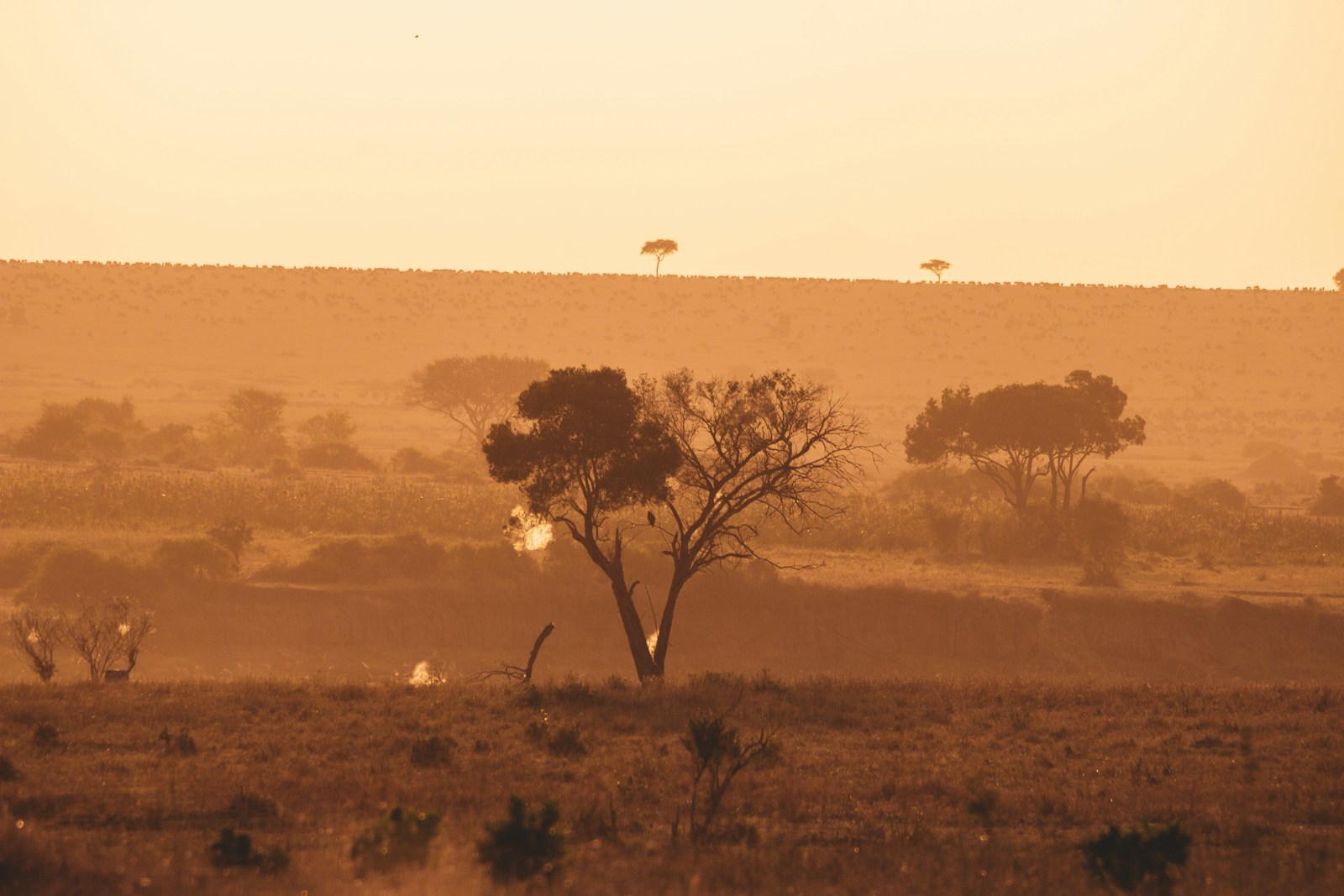 3-day Serengeti and Ngorongoro group joining safari across the open plains