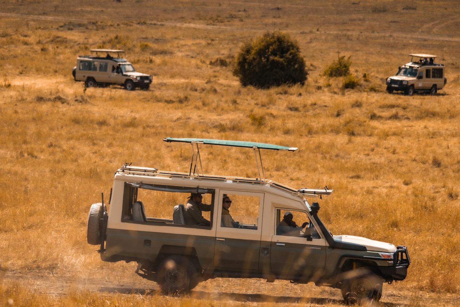 Arusha National Park day trip with a safari vehicle crossing the savanna