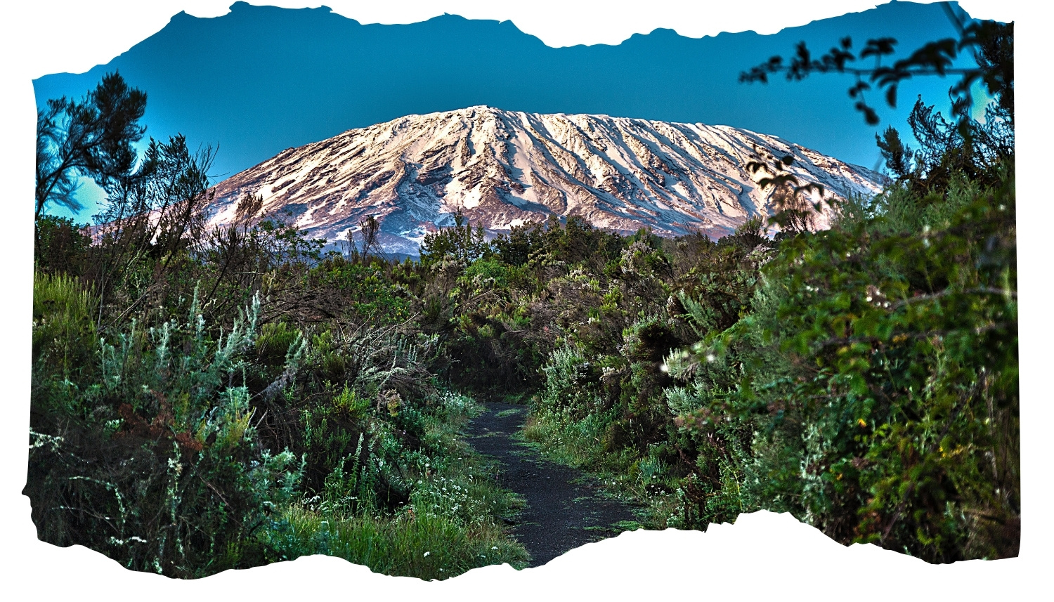 Mount Kilimanjaro — Africa's highest peak rising 5,895 m above the Tanzanian plains