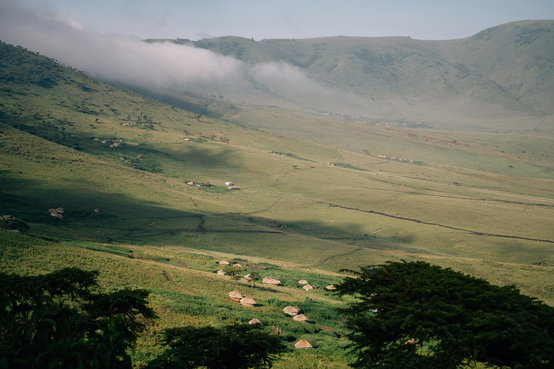 7 Days Tanzania Classic Mid-Luxury and Luxury Senior Sharing Safari
