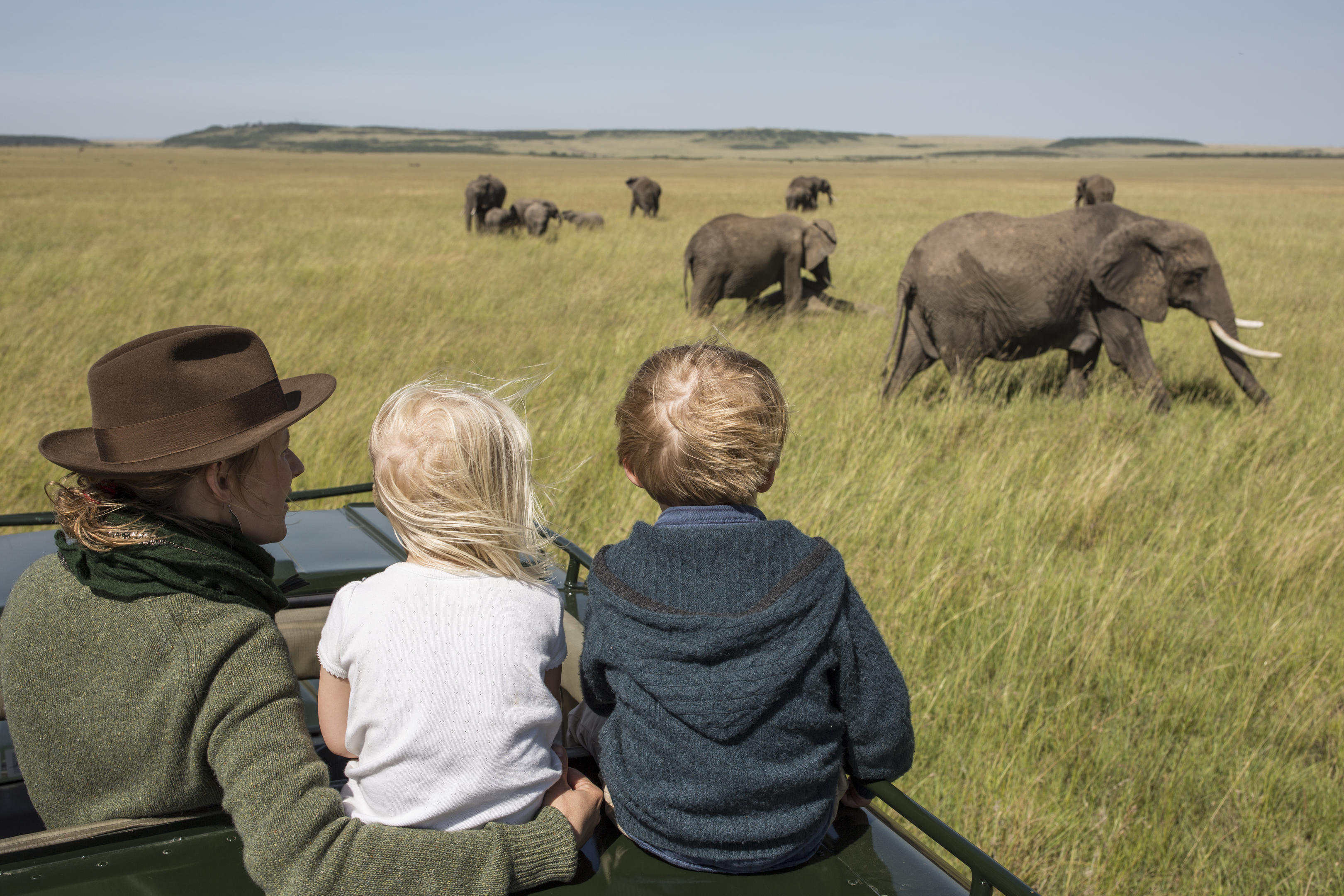 5 Days Classic Northern Circuit Safari — custom 4x4 game tracking through prime parks