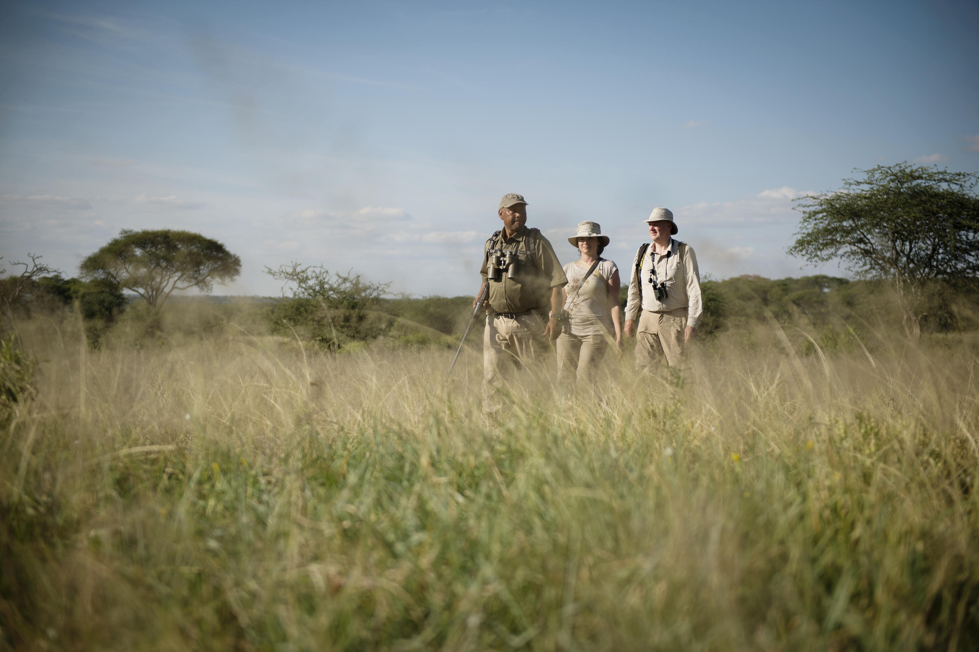 Tarangire National Park — ancient baobabs, elephant herds and tree-climbing lions in northern Tanzania